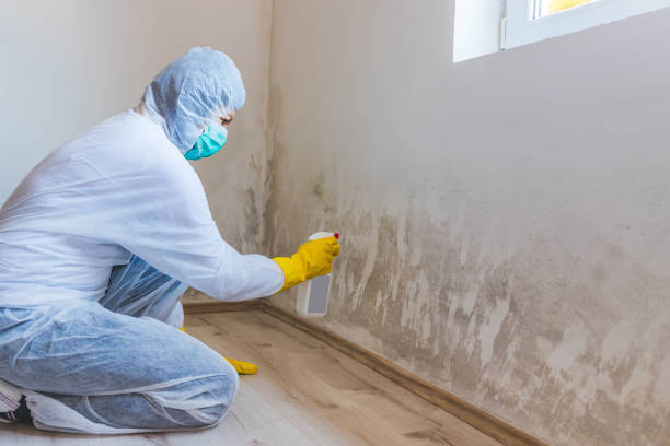 Hvac And Air Duct Mold Remediation inspection of HVAC system in Port Angeles